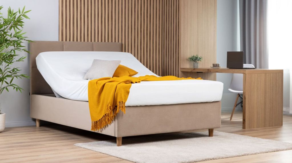 krovat-pm-tess-ergo_1.jpg