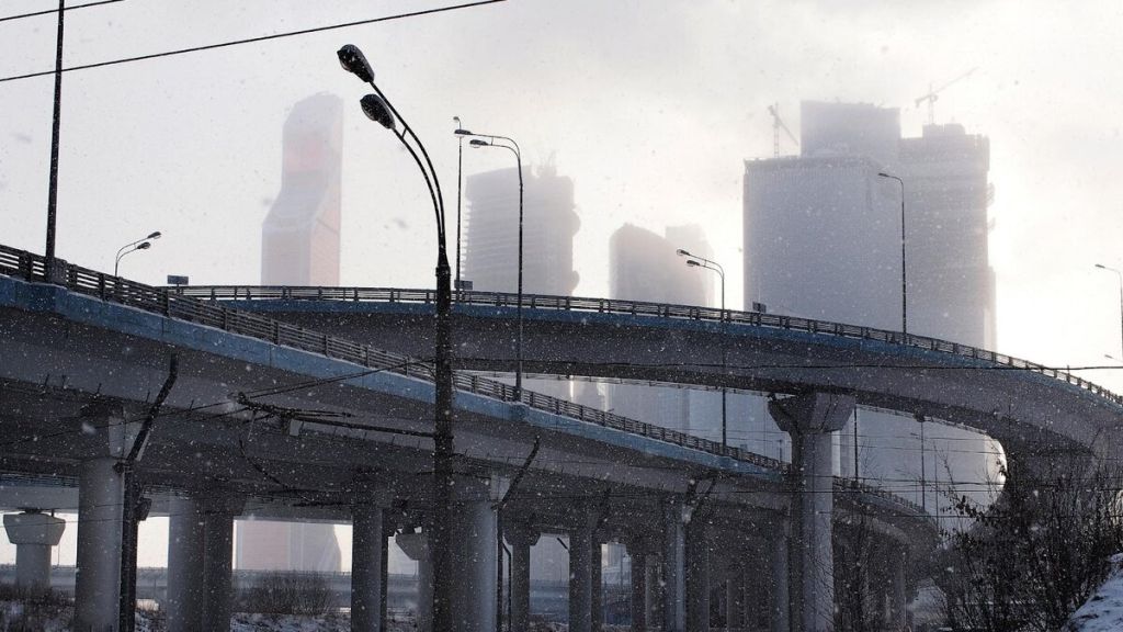 scale_1200 (12).jpg